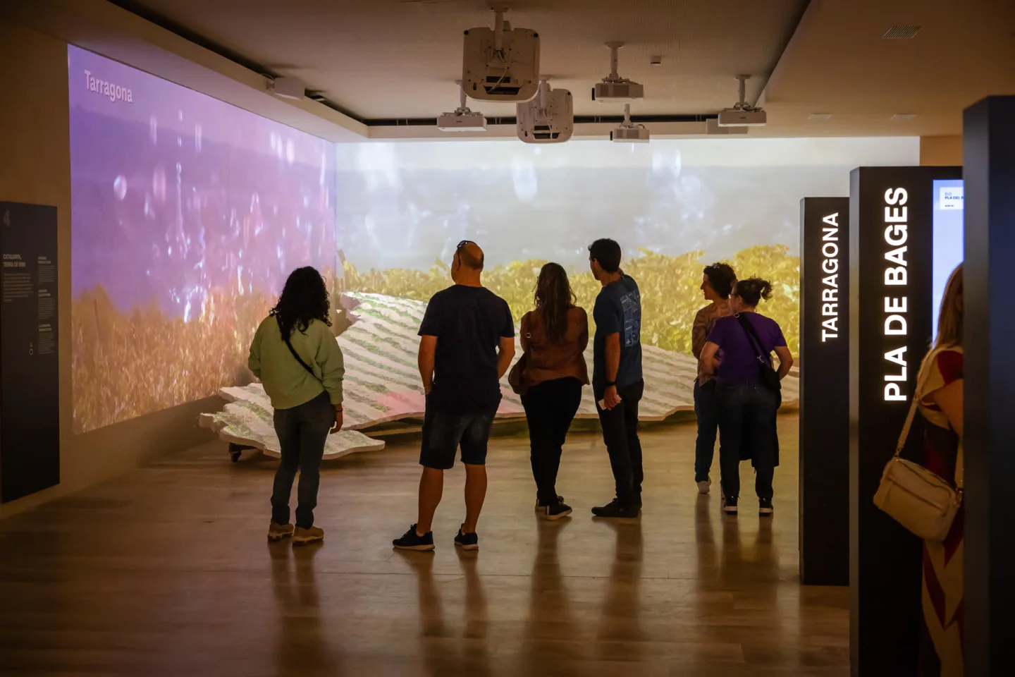 Visitants a La plaça del vi VINSEUM