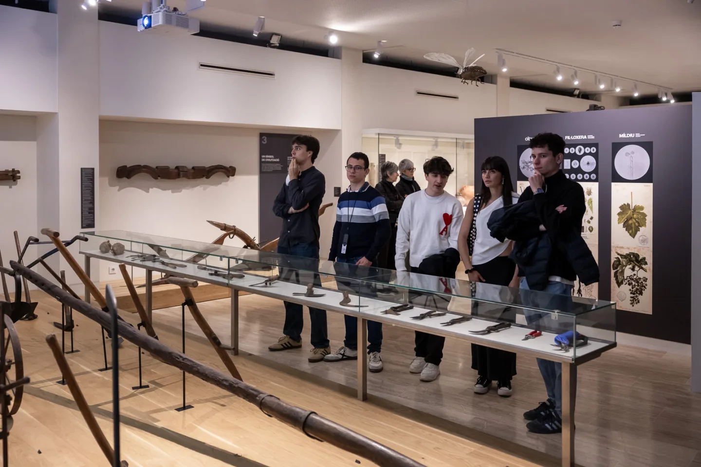 Vinseum 16 05 26